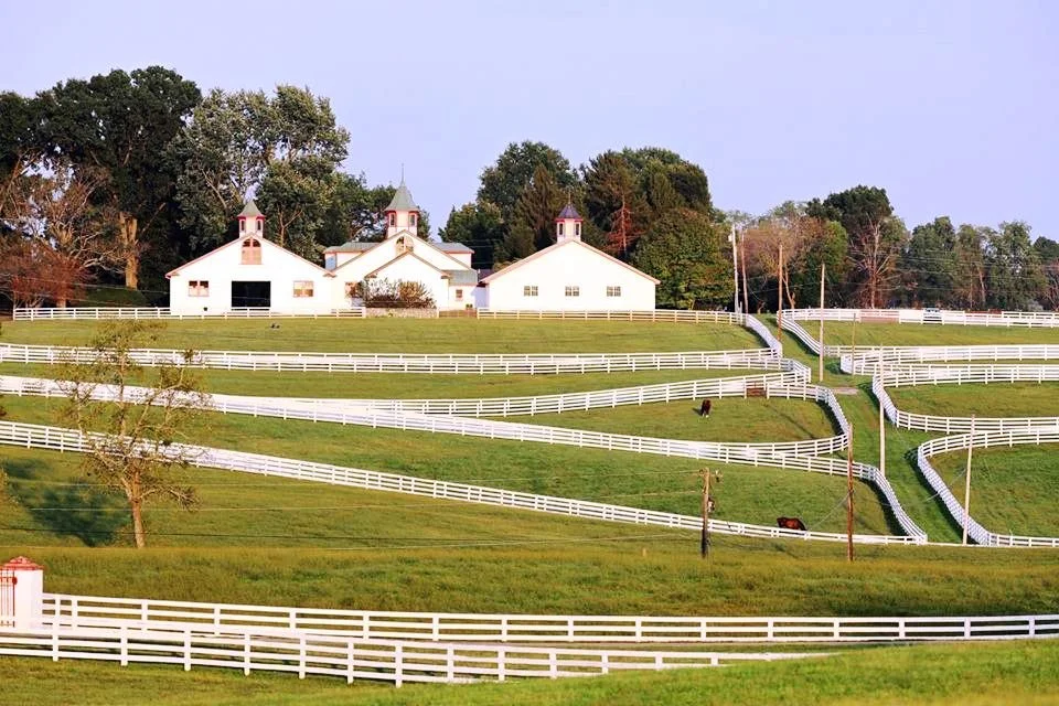 Lexington Kentucky Horse Farm Real Estate Market Unlike Any Other Nationwide